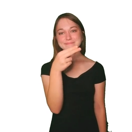 ASL handshape for letter H